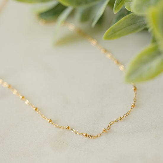 Liz Necklace | 14k